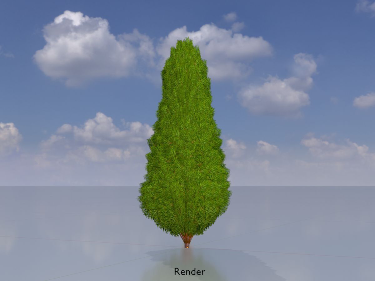 Mock cypress version-2 500mm Low-poly 3D model_13