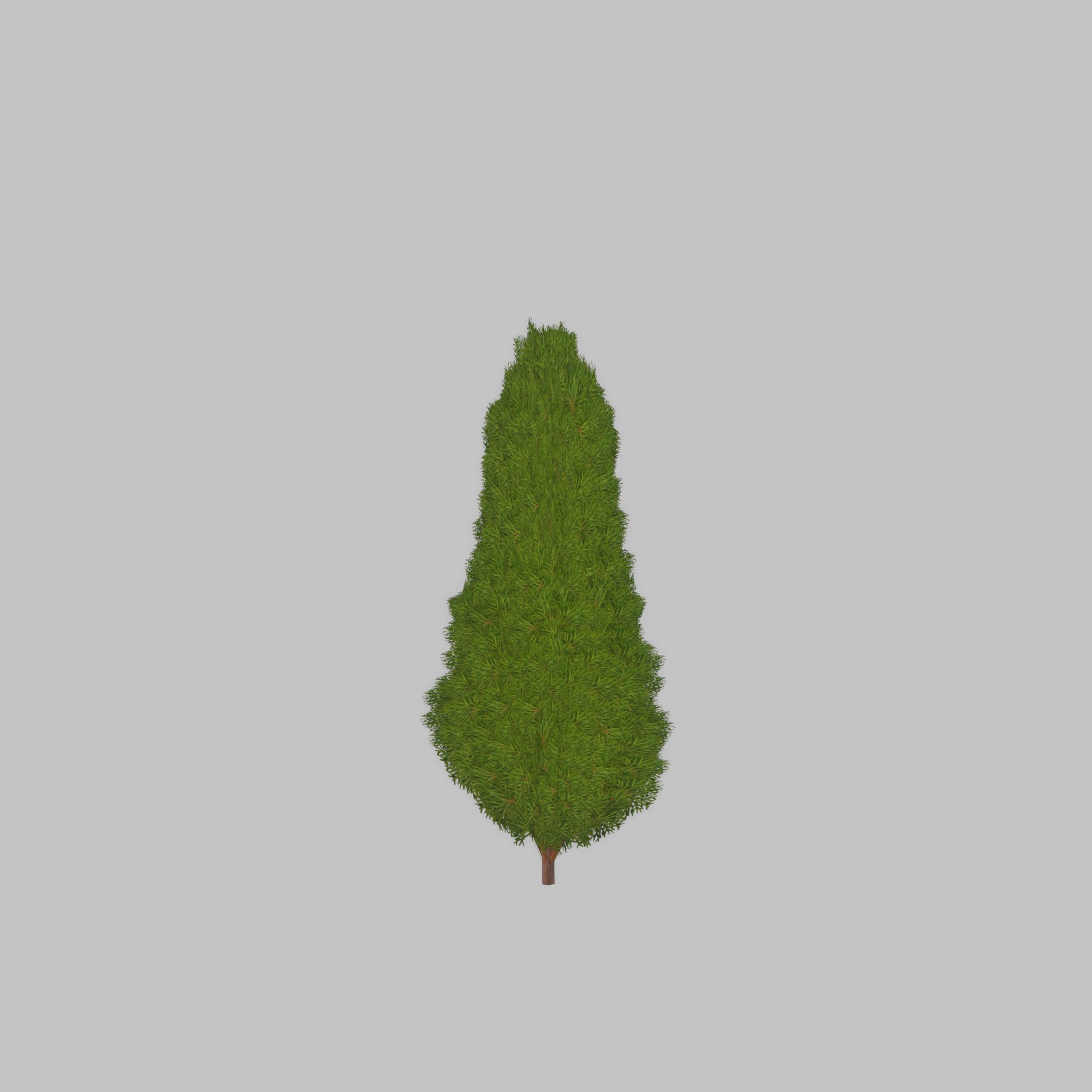 Mock cypress version-2 500mm Low-poly 3D model_43