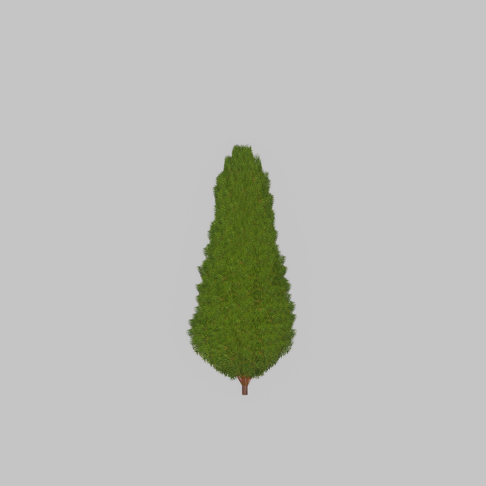 Mock cypress version-2 500mm Low-poly 3D model_27