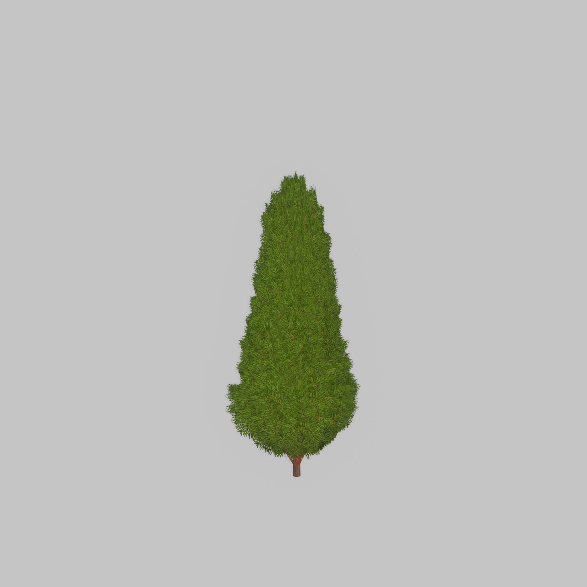 Mock cypress version-2 500mm Low-poly 3D model_25