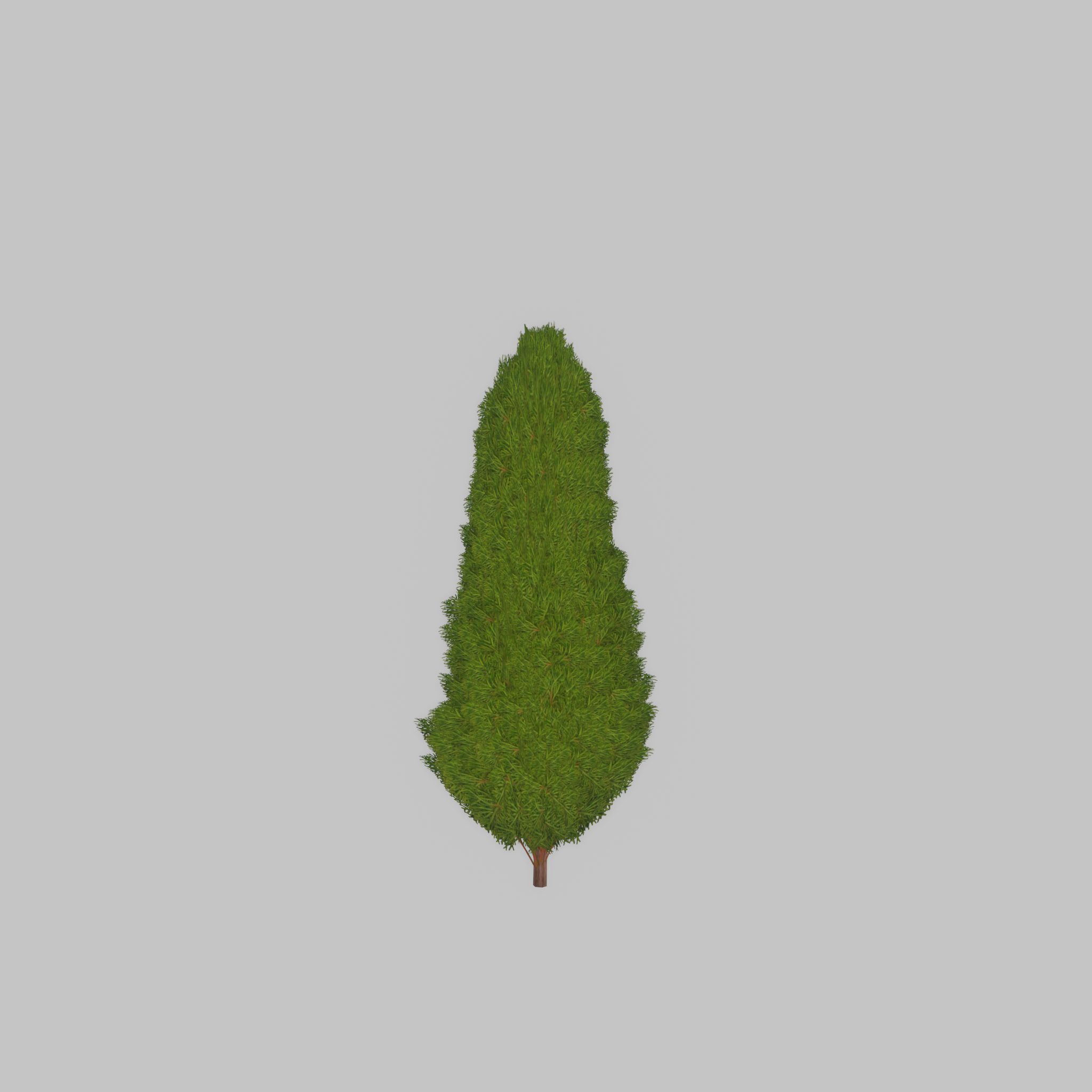 Mock cypress version-2 500mm Low-poly 3D model_35