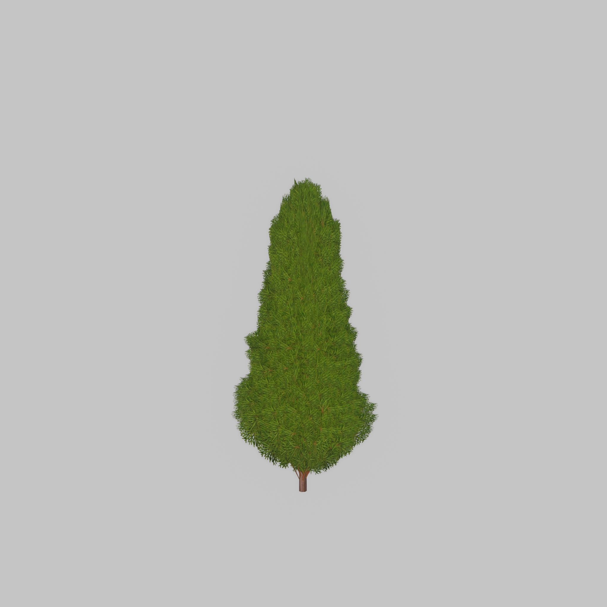 Mock cypress version-2 500mm Low-poly 3D model_41