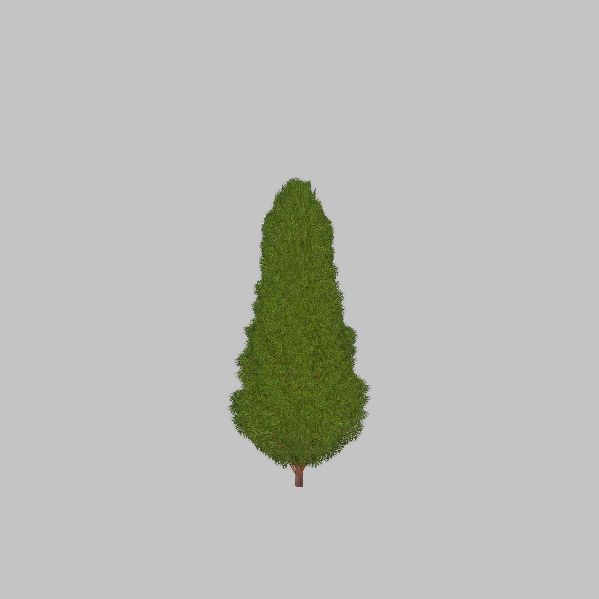 Mock cypress version-2 500mm Low-poly 3D model_30