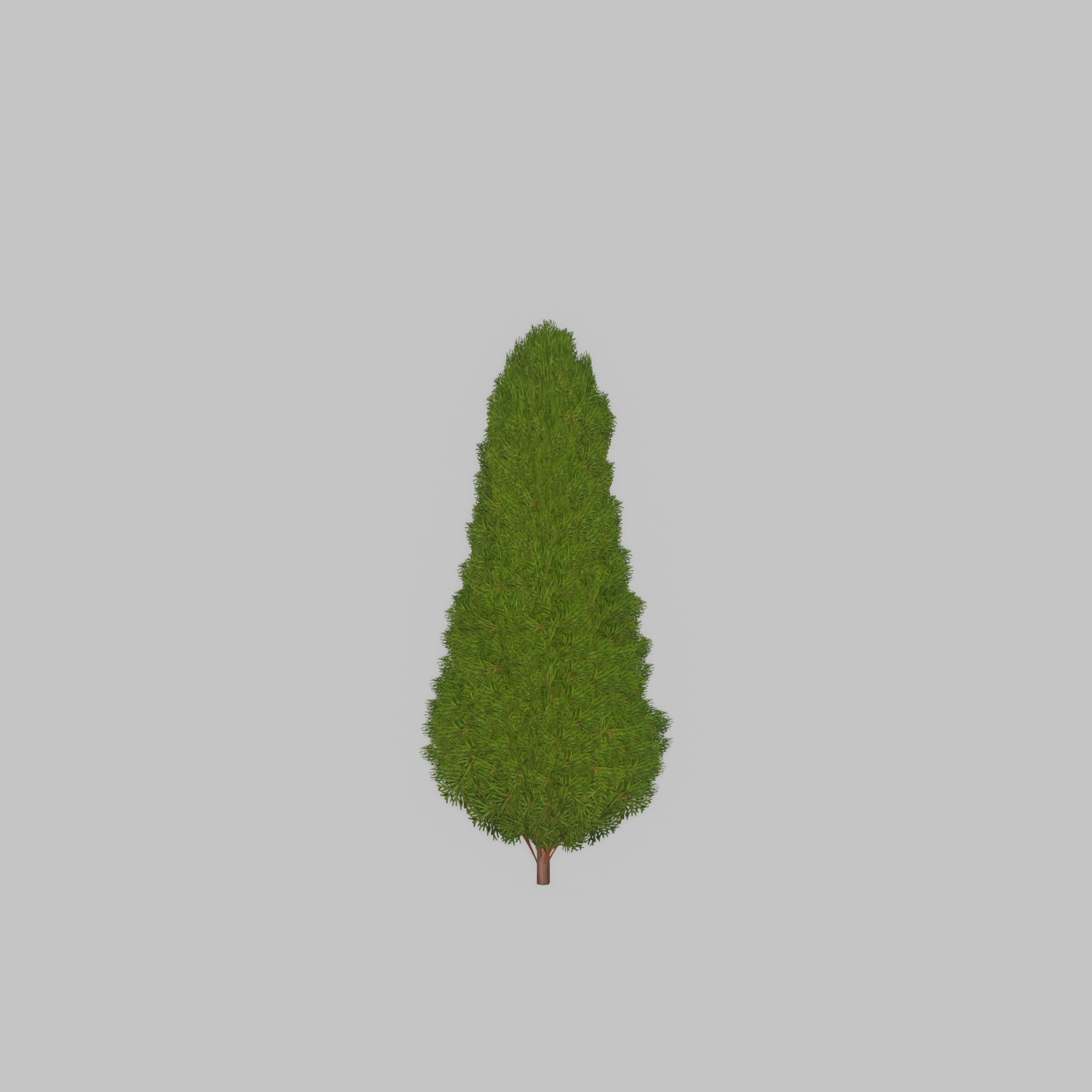 Mock cypress version-2 500mm Low-poly 3D model_40