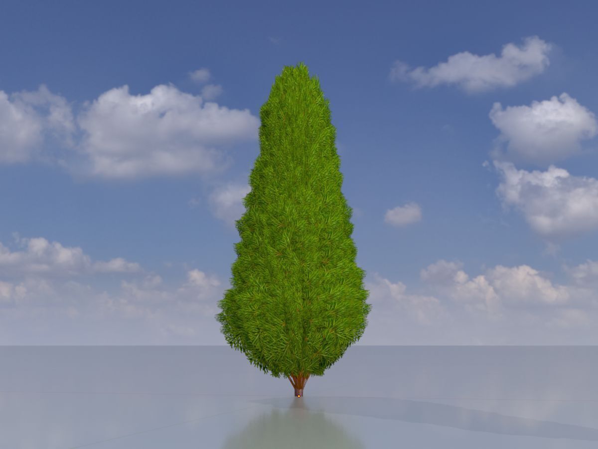 Mock cypress version-2 500mm Low-poly 3D model_3