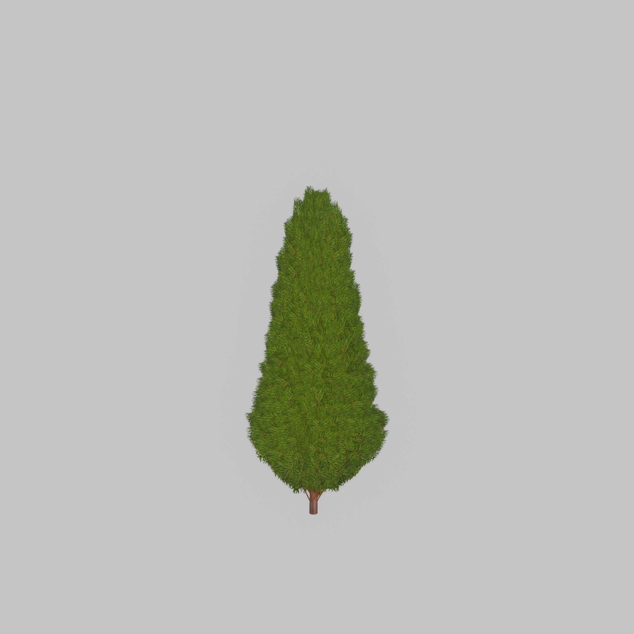 Mock cypress version-2 500mm Low-poly 3D model_21