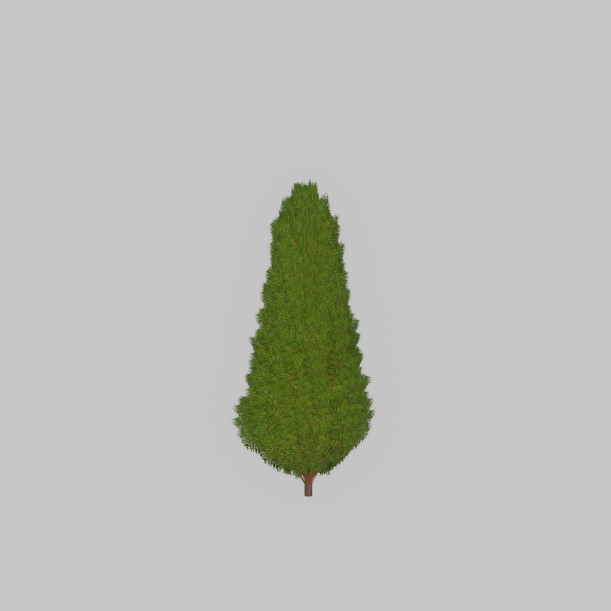Mock cypress version-2 500mm Low-poly 3D model_26