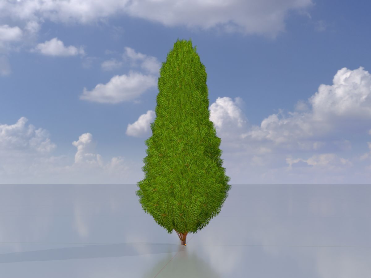 Mock cypress version-2 500mm Low-poly 3D model_2