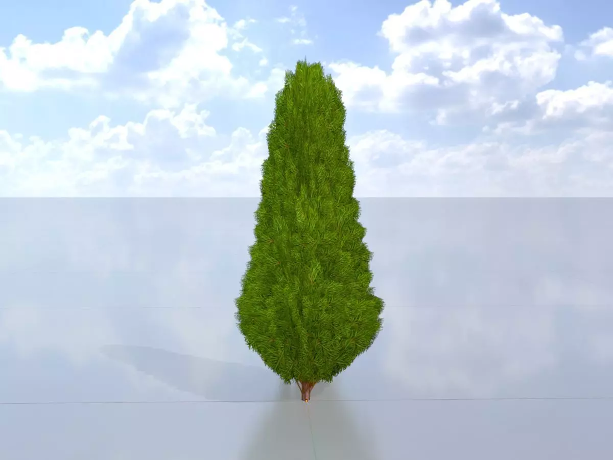 Mock cypress version-2 500mm Low-poly 3D model_0