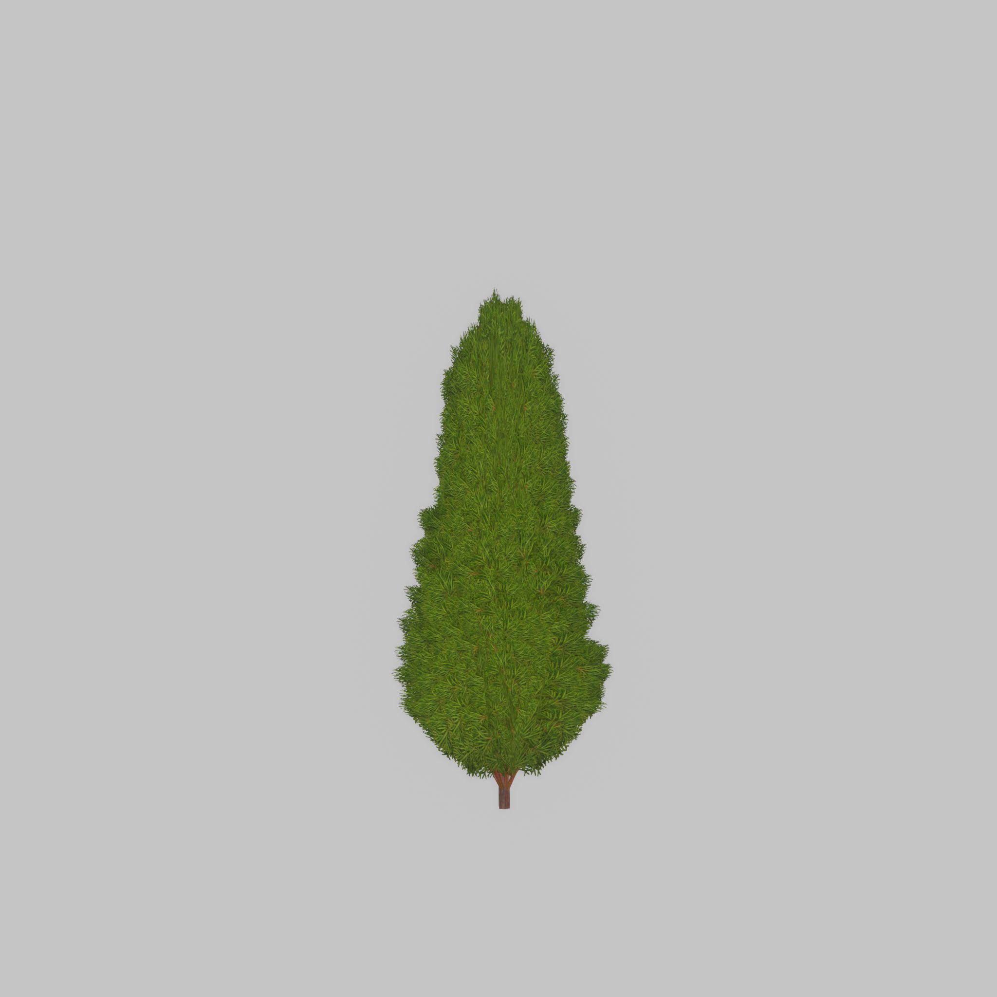 Mock cypress version-2 500mm Low-poly 3D model_23