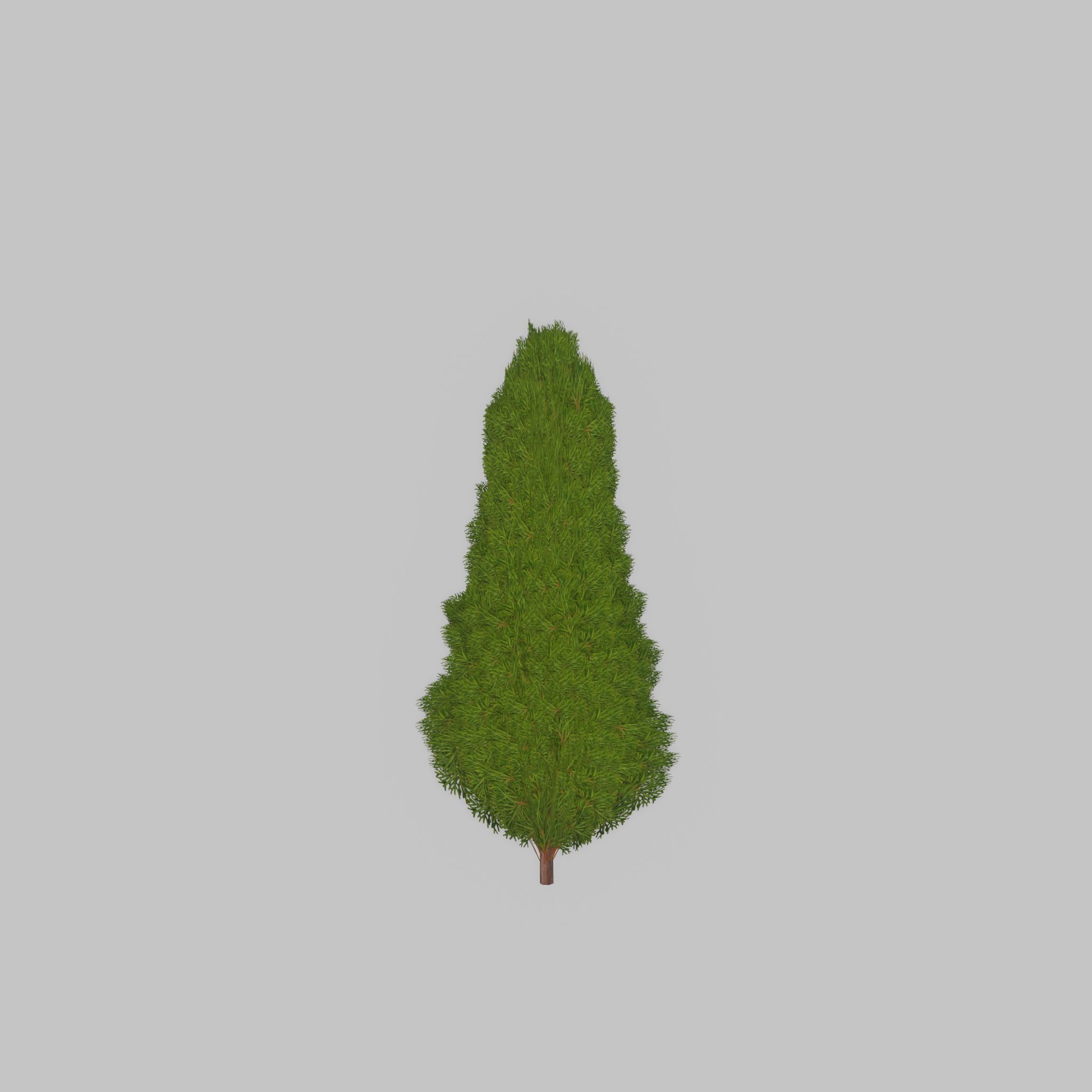 Mock cypress version-2 500mm Low-poly 3D model_42