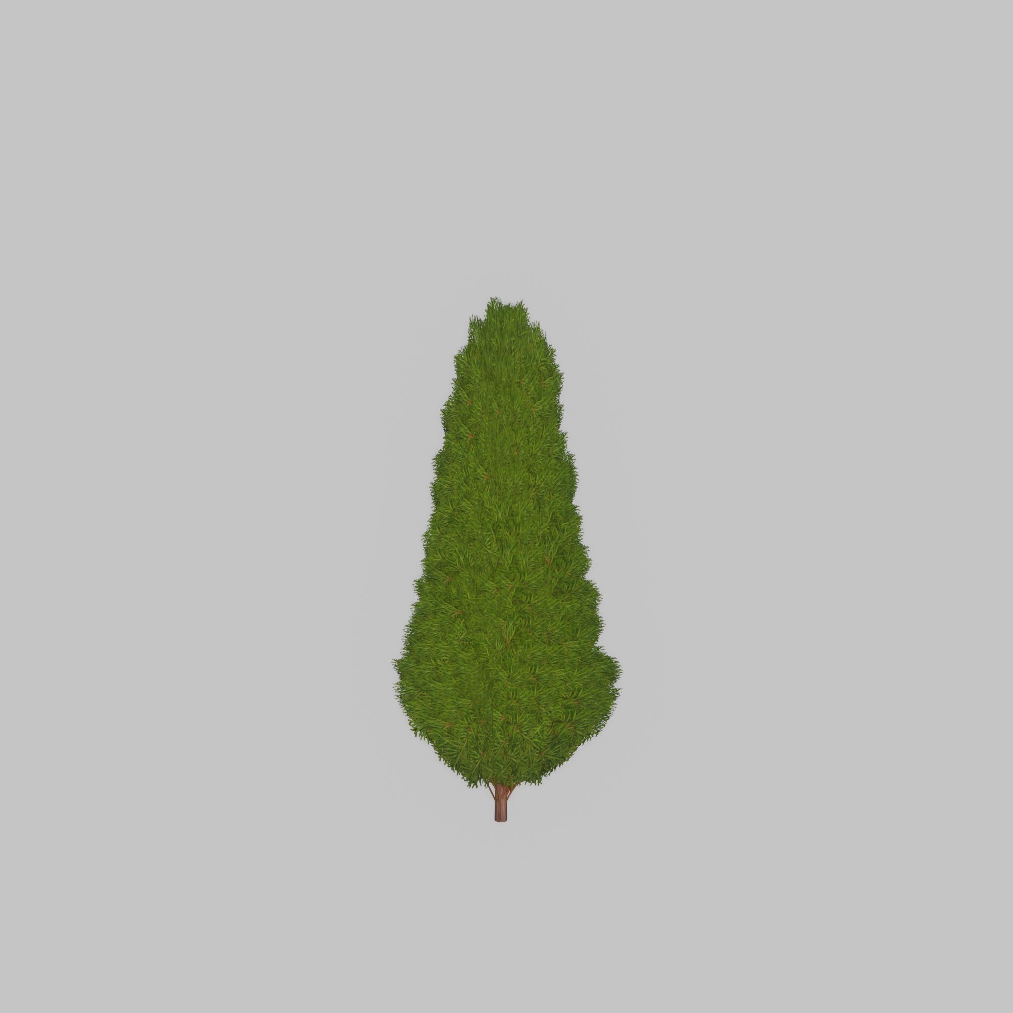 Mock cypress version-2 500mm Low-poly 3D model_38