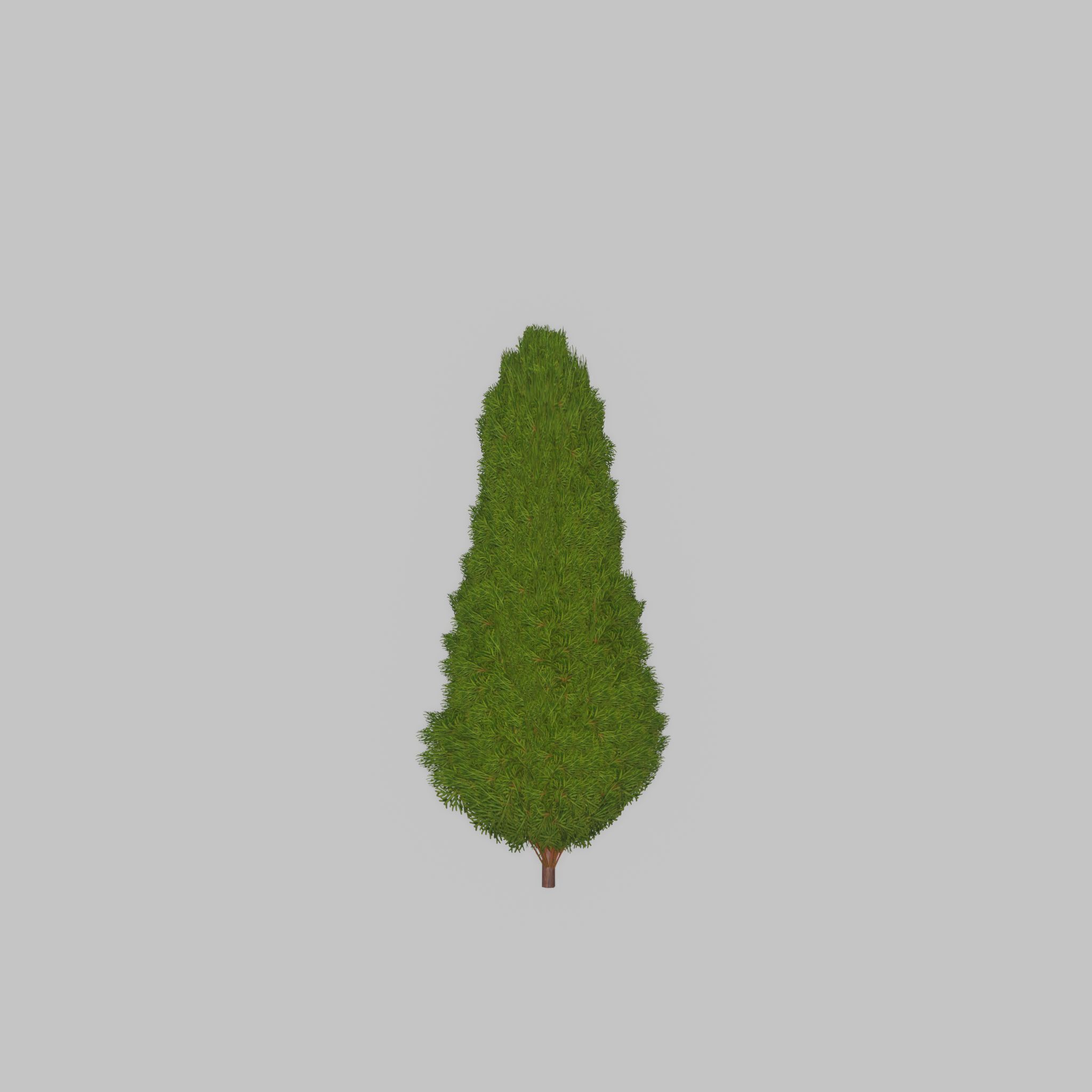 Mock cypress version-2 500mm Low-poly 3D model_28