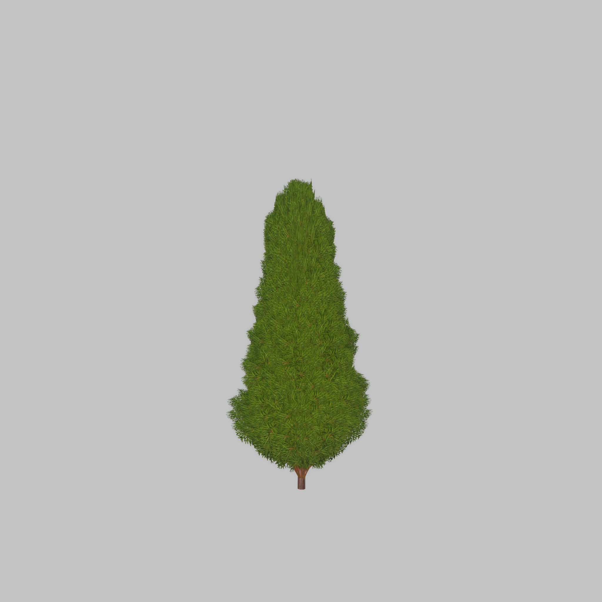 Mock cypress version-2 500mm Low-poly 3D model_29