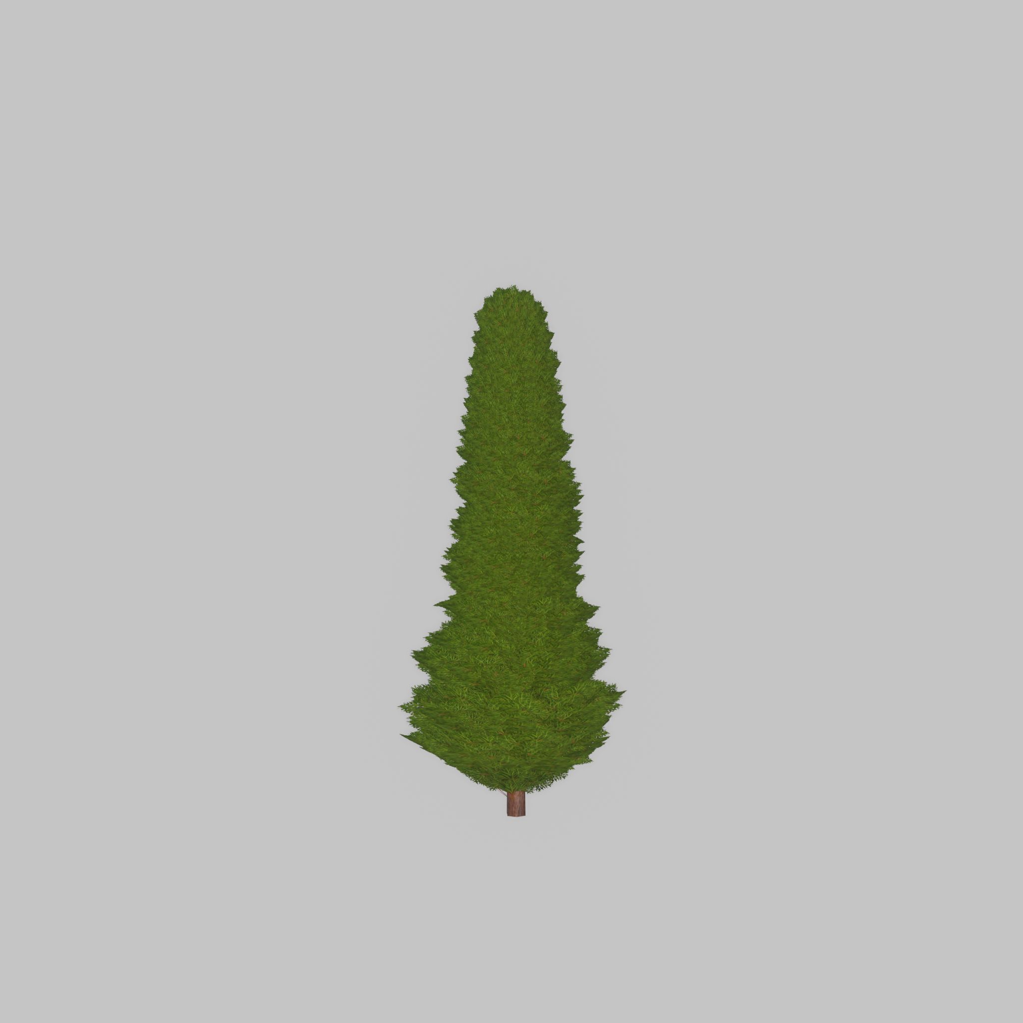 Mock cypress version-3 500mm Low-poly 3D model_27