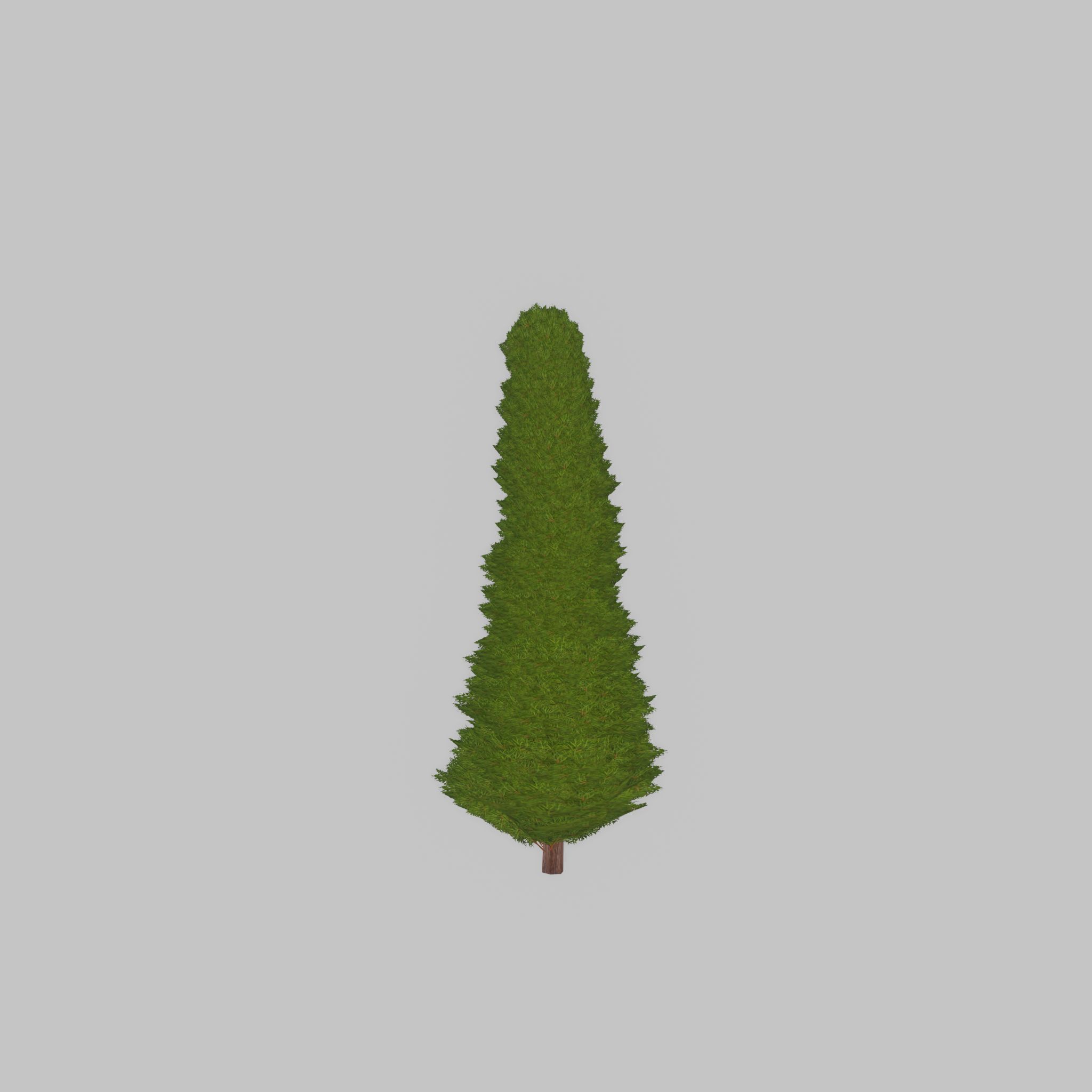 Mock cypress version-3 500mm Low-poly 3D model_33