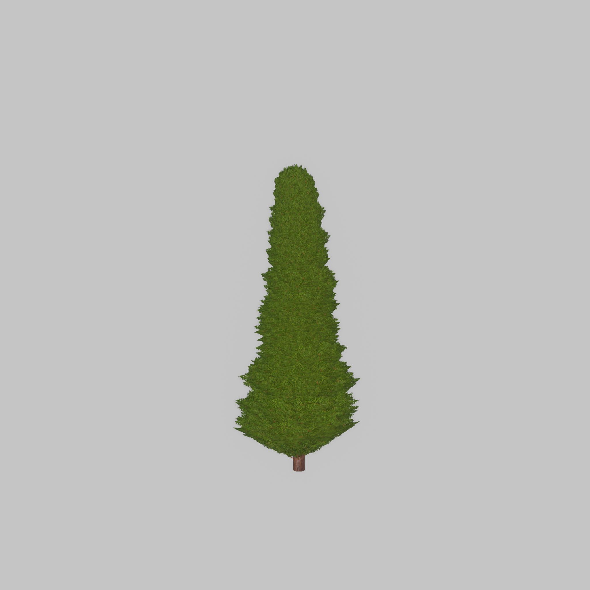 Mock cypress version-3 500mm Low-poly 3D model_29