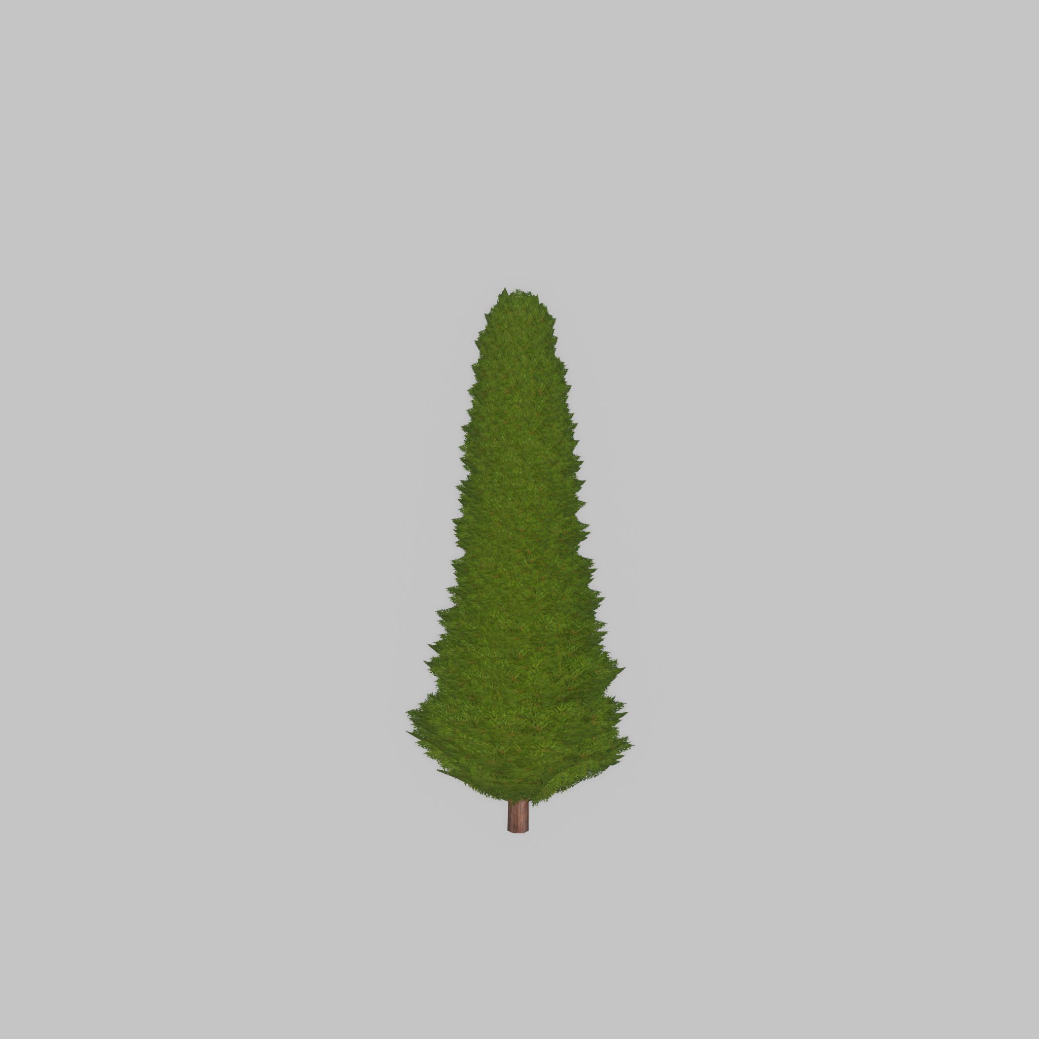 Mock cypress version-3 500mm Low-poly 3D model_38