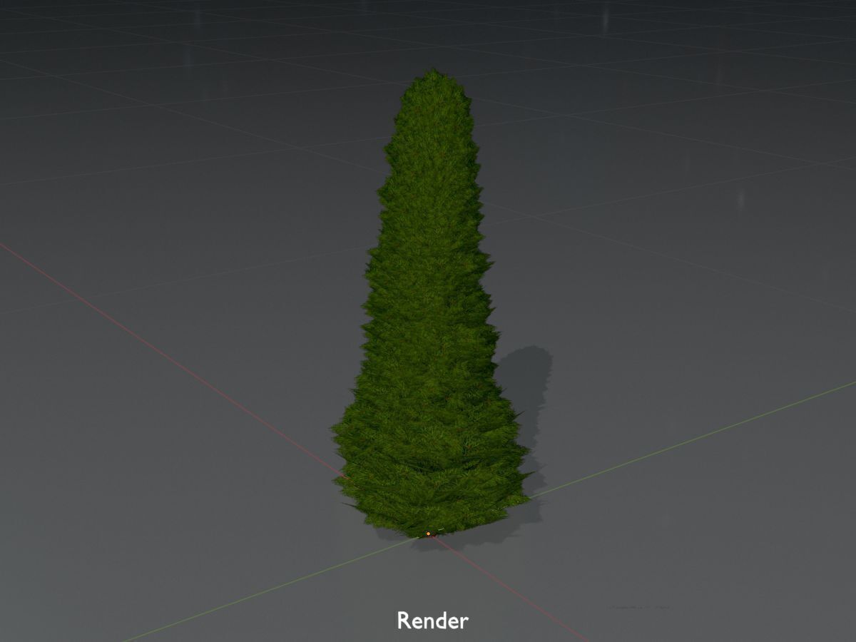 Mock cypress version-3 500mm Low-poly 3D model_16