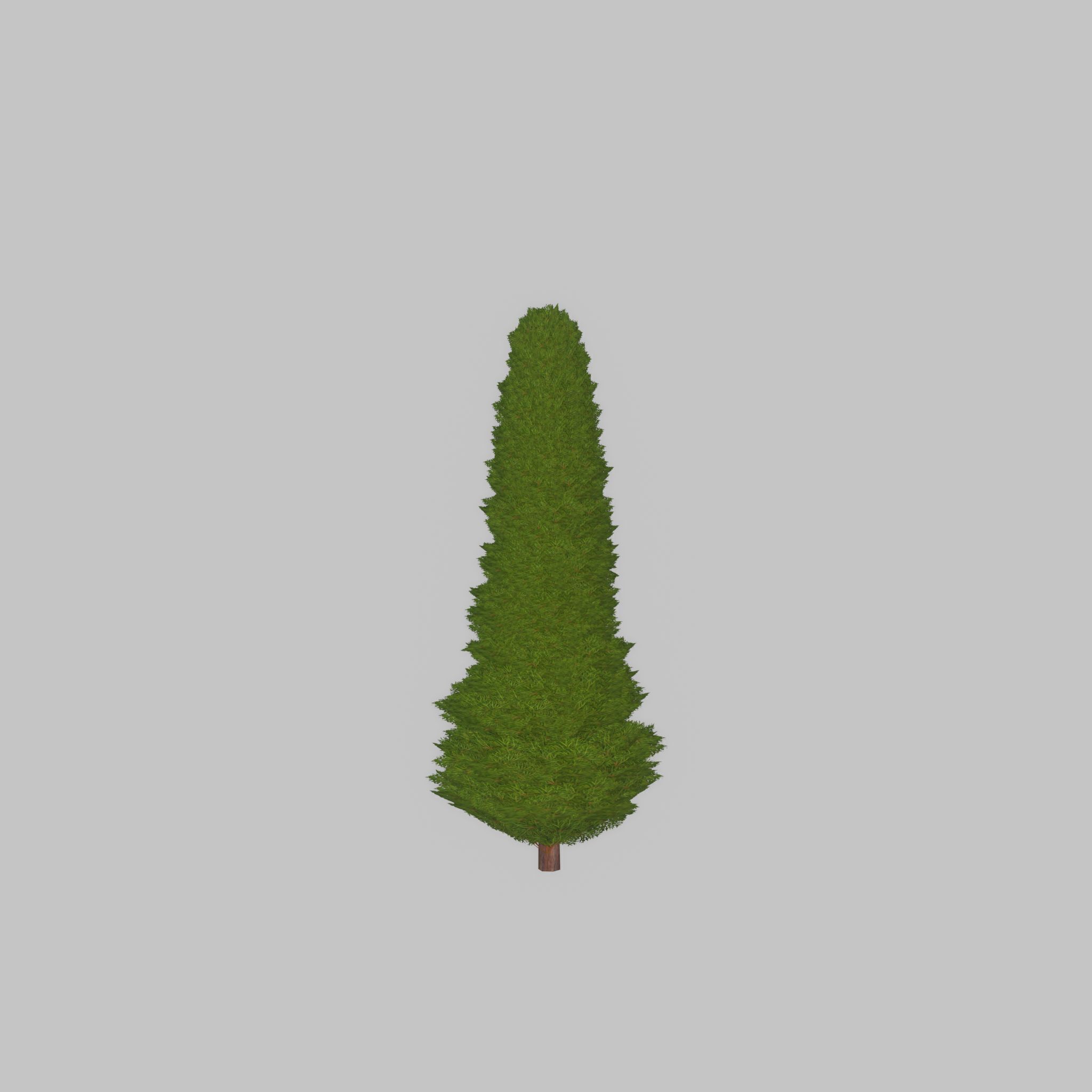 Mock cypress version-3 500mm Low-poly 3D model_26