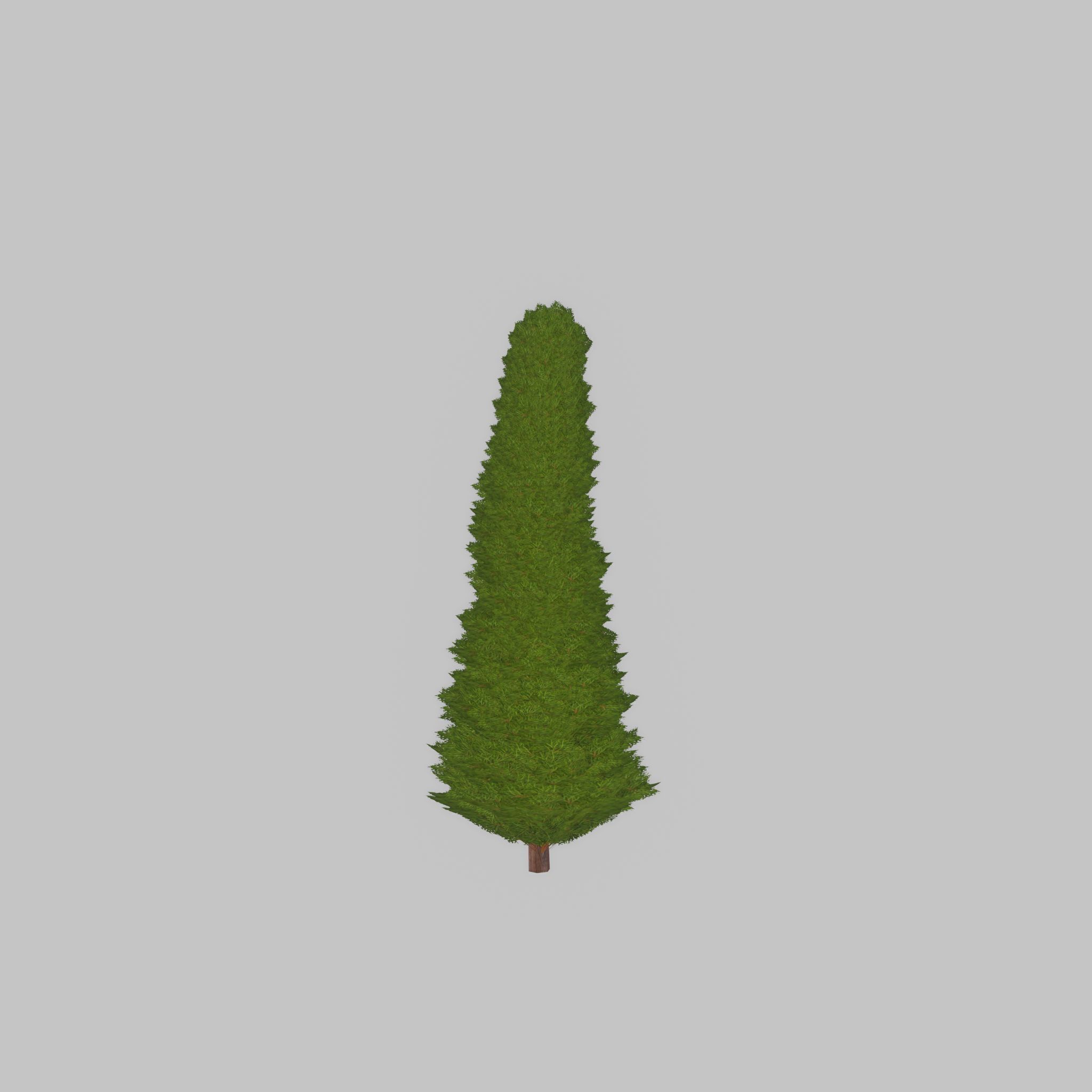 Mock cypress version-3 500mm Low-poly 3D model_44