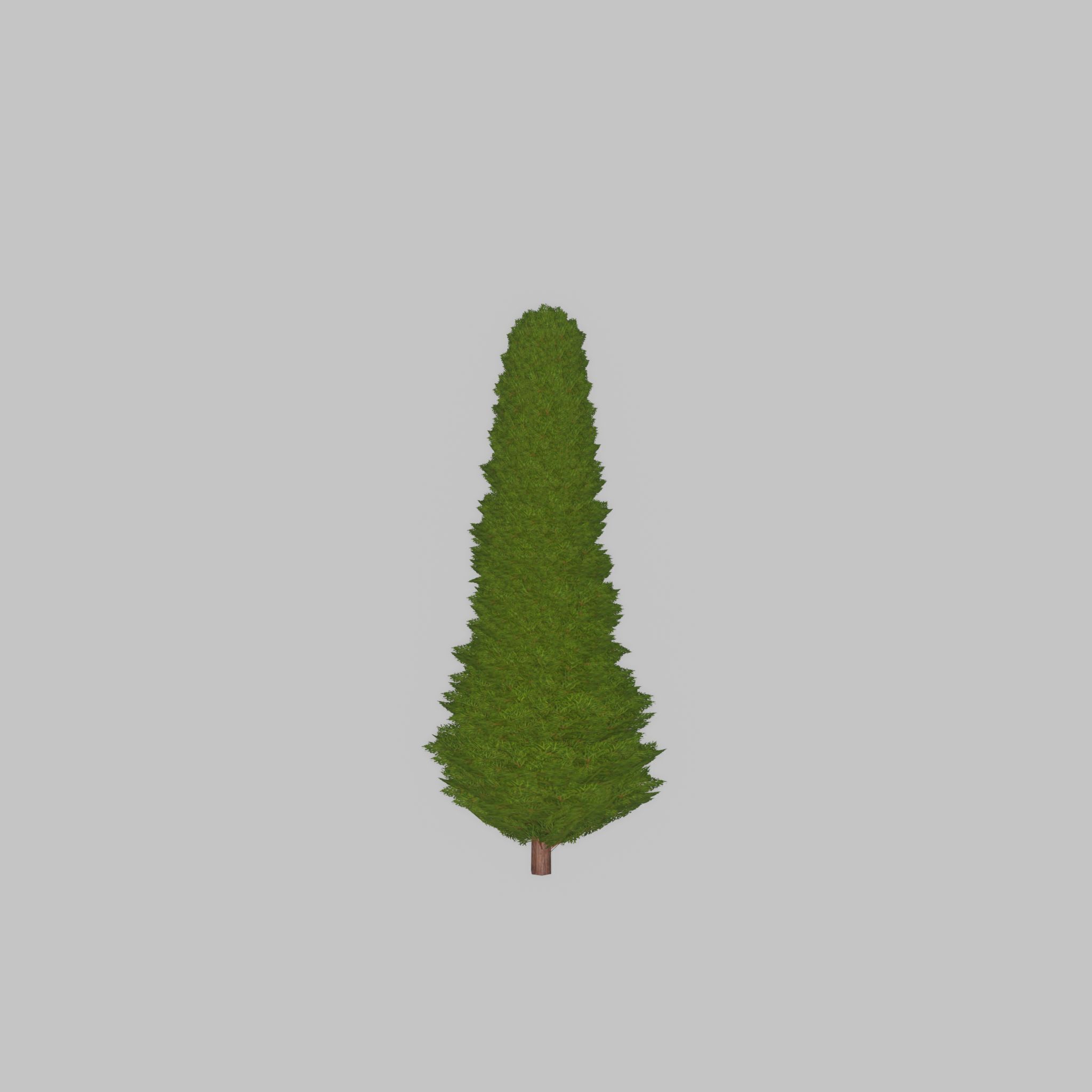 Mock cypress version-3 500mm Low-poly 3D model_39