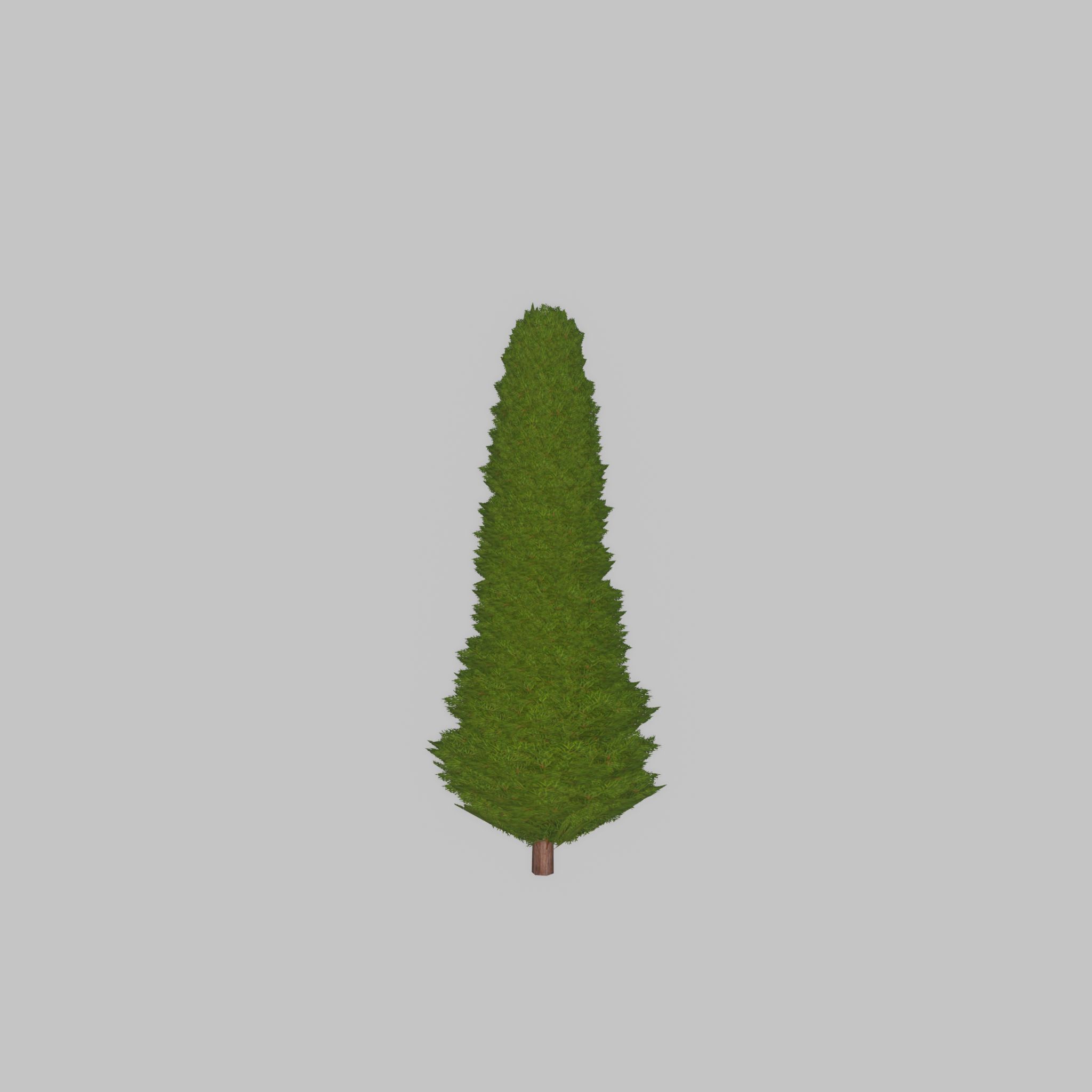 Mock cypress version-3 500mm Low-poly 3D model_32