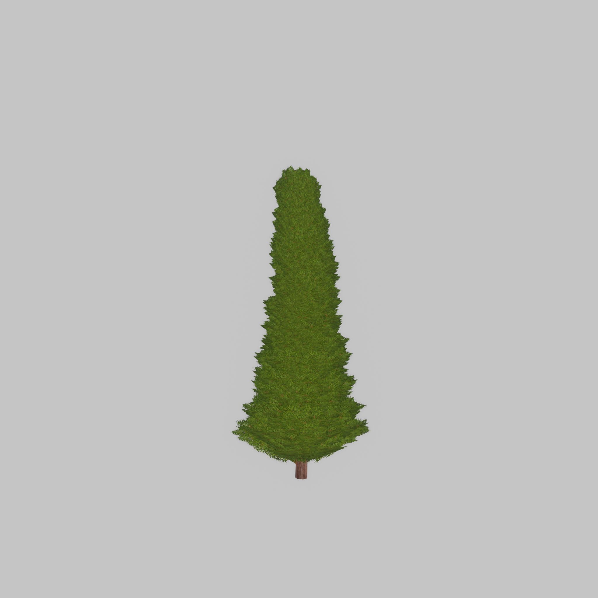 Mock cypress version-3 500mm Low-poly 3D model_35