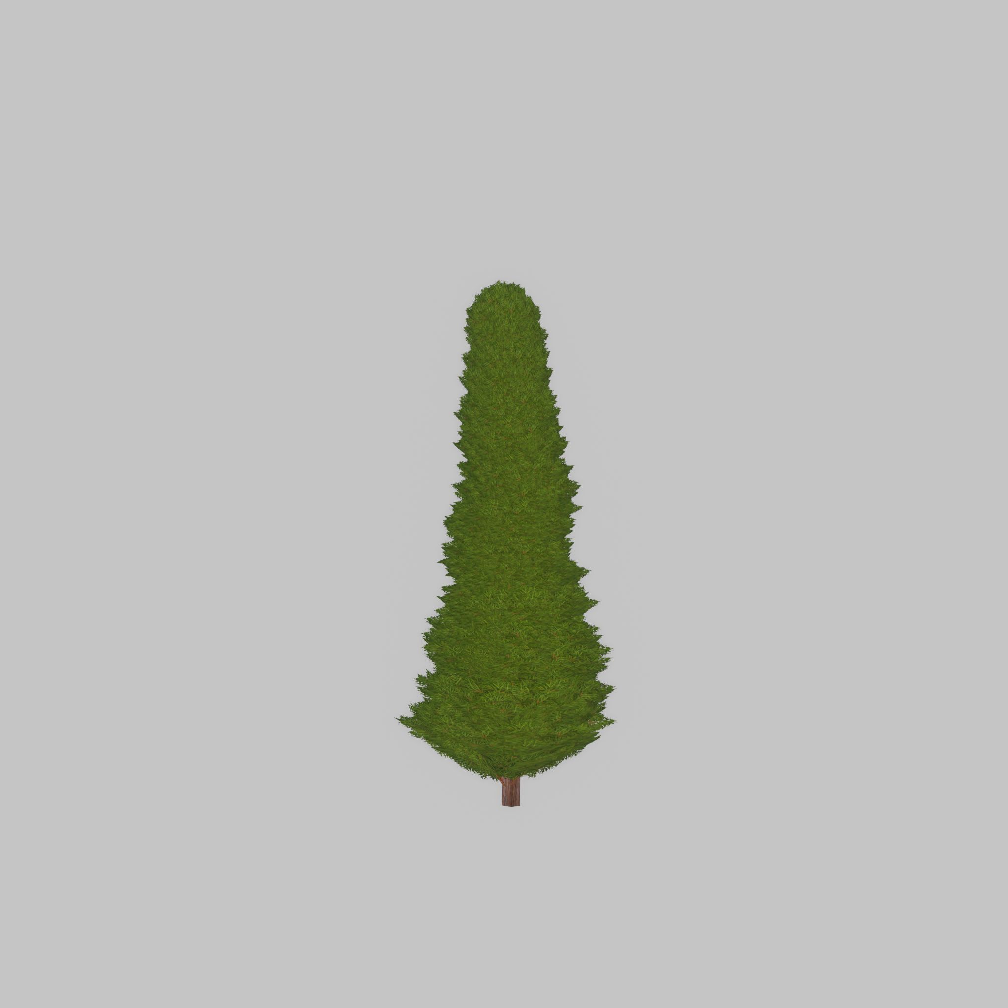 Mock cypress version-3 500mm Low-poly 3D model_31