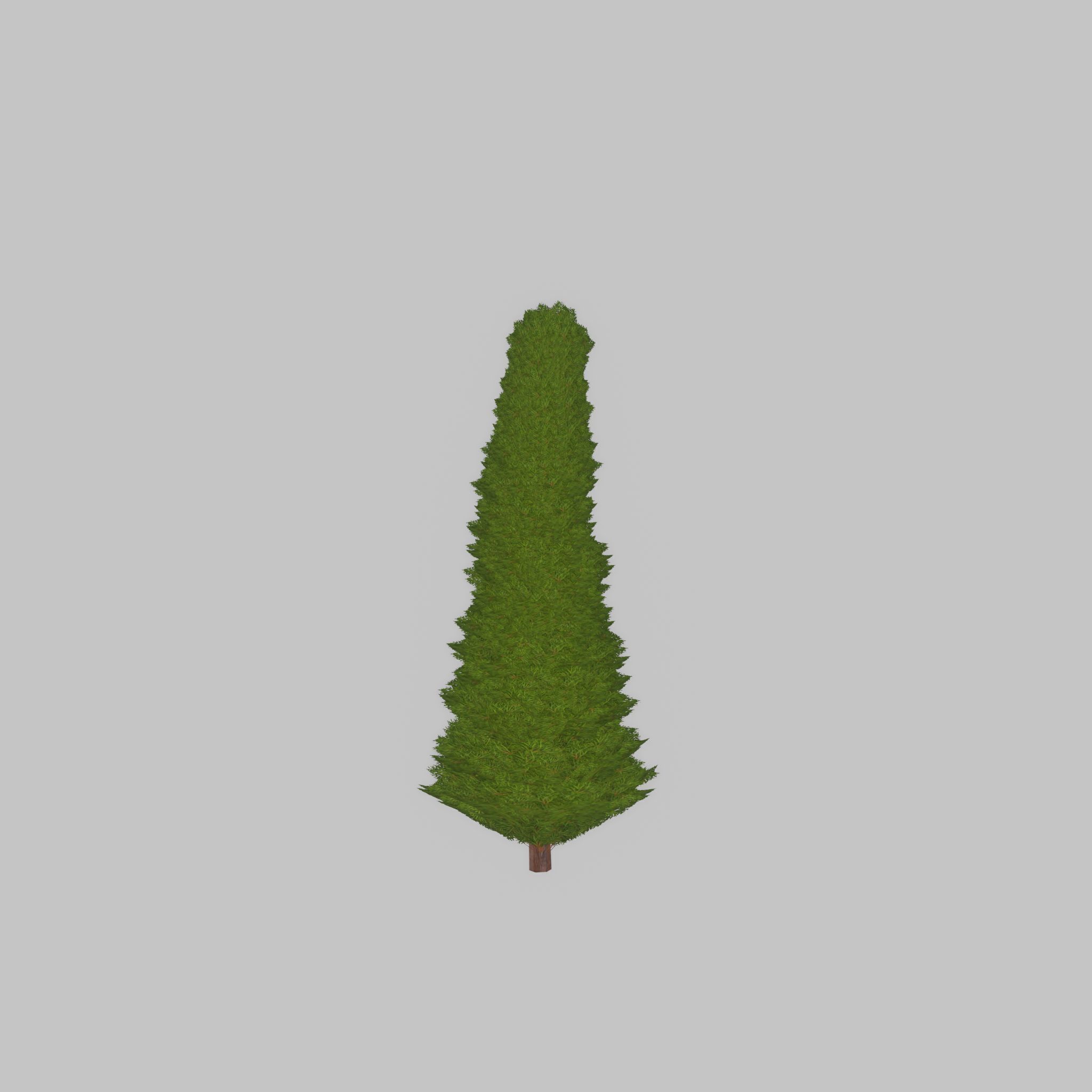 Mock cypress version-3 500mm Low-poly 3D model_45