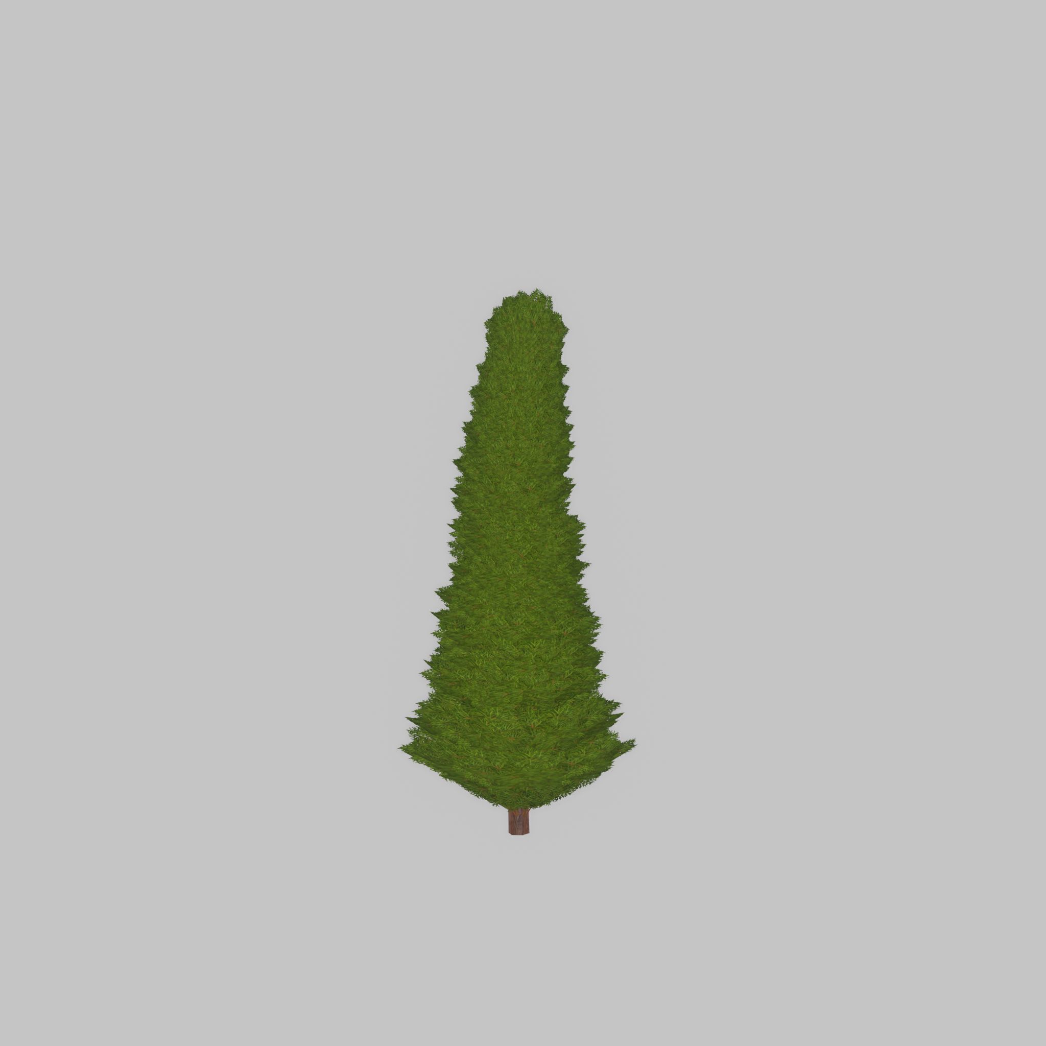 Mock cypress version-3 500mm Low-poly 3D model_22