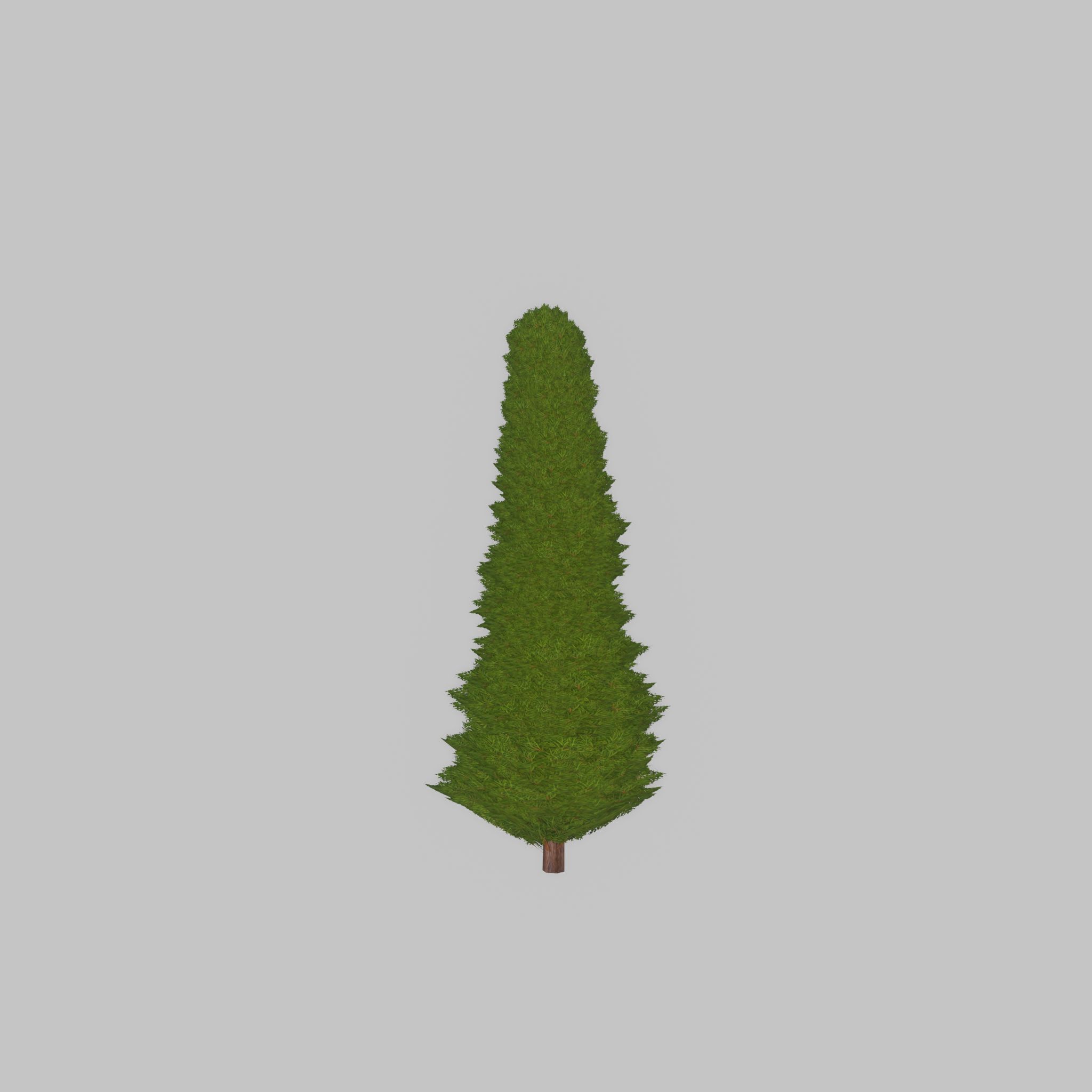 Mock cypress version-3 500mm Low-poly 3D model_30