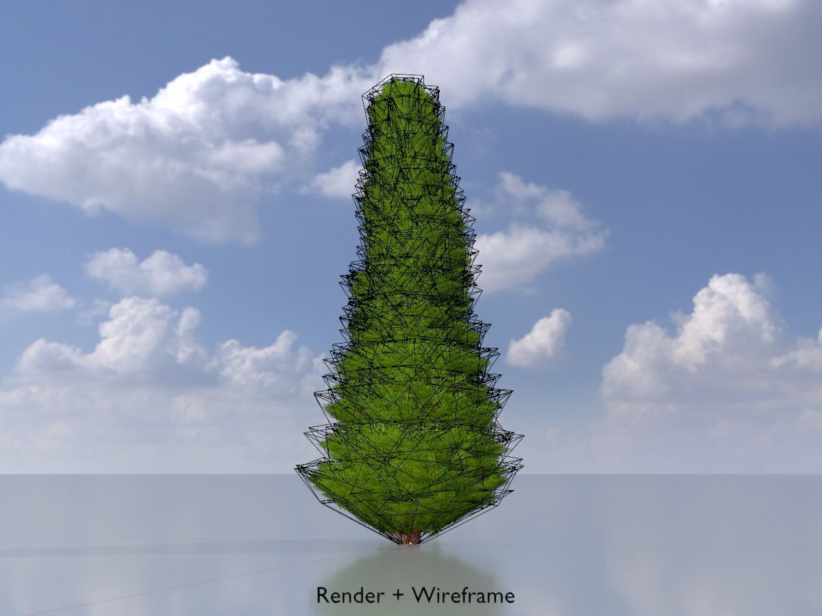Mock cypress version-3 500mm Low-poly 3D model_6