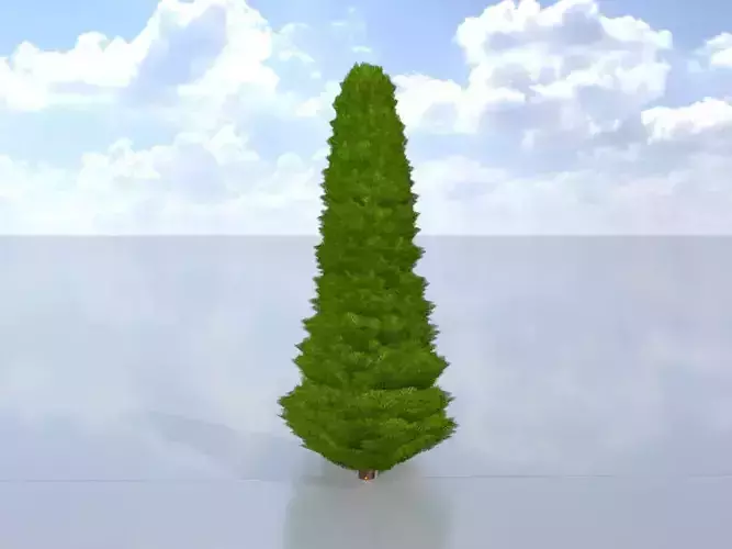 Mock cypress version-3 500mm Low-poly 3D model