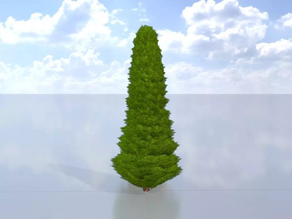 Mock cypress version-3 500mm Low-poly 3D model_0