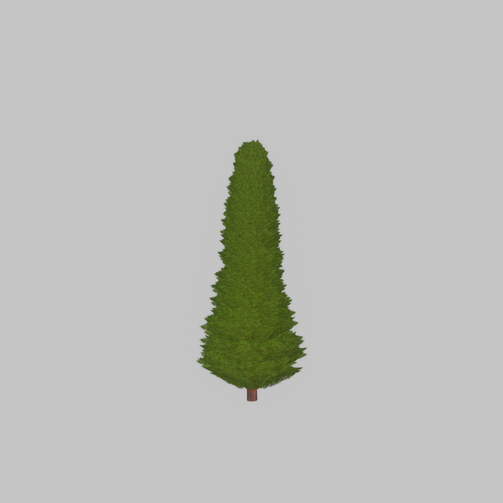Mock cypress version-3 500mm Low-poly 3D model_25