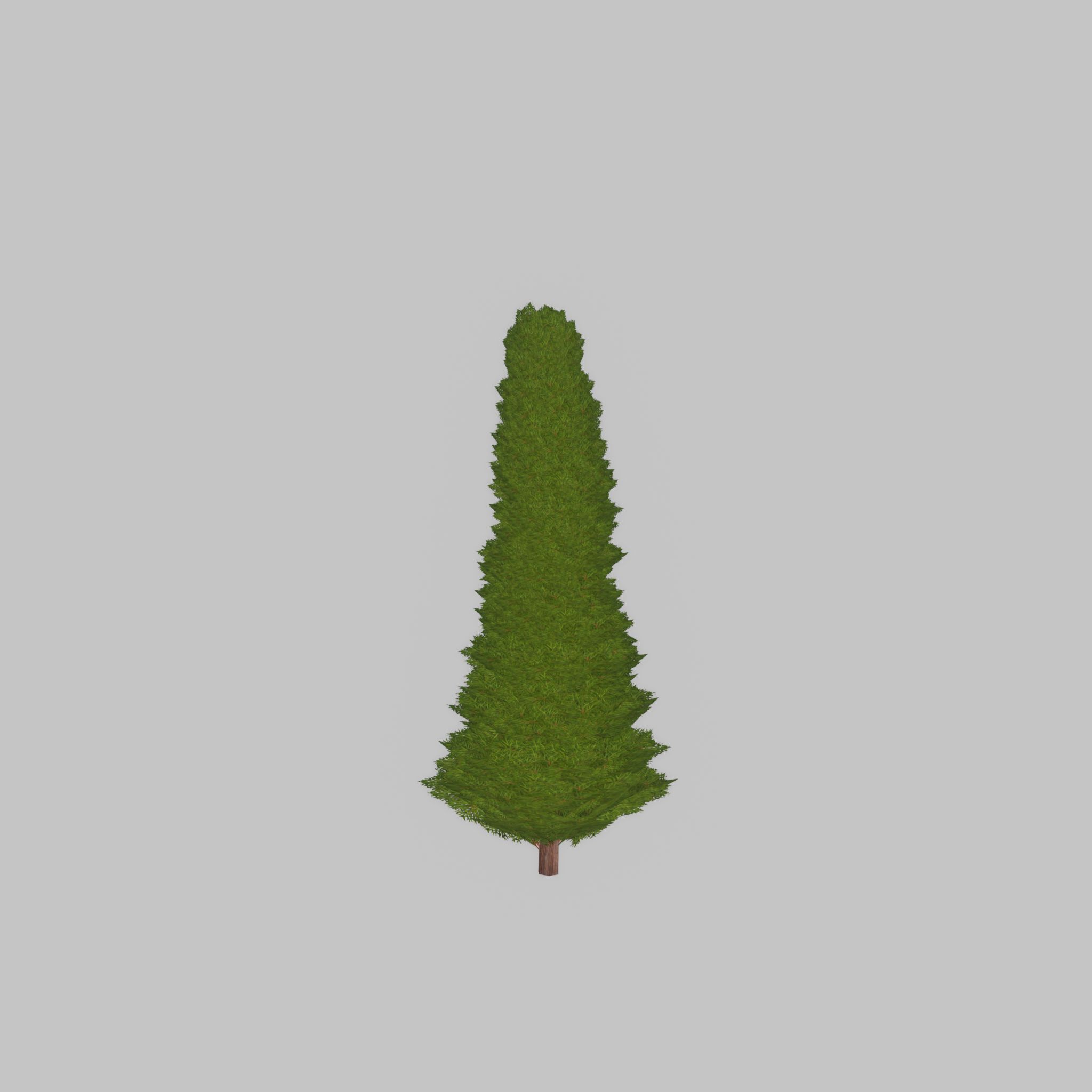 Mock cypress version-3 500mm Low-poly 3D model_36