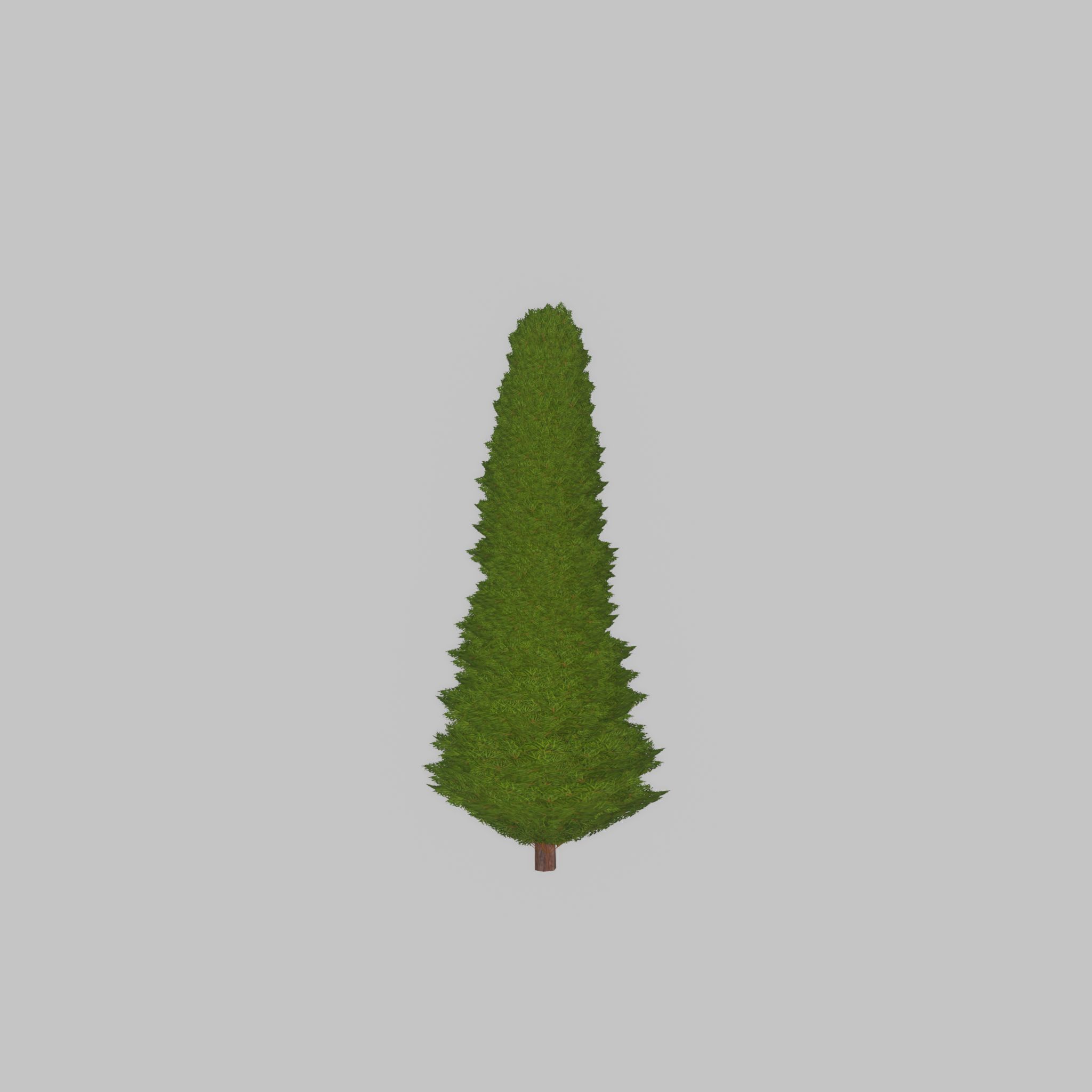 Mock cypress version-3 500mm Low-poly 3D model_24