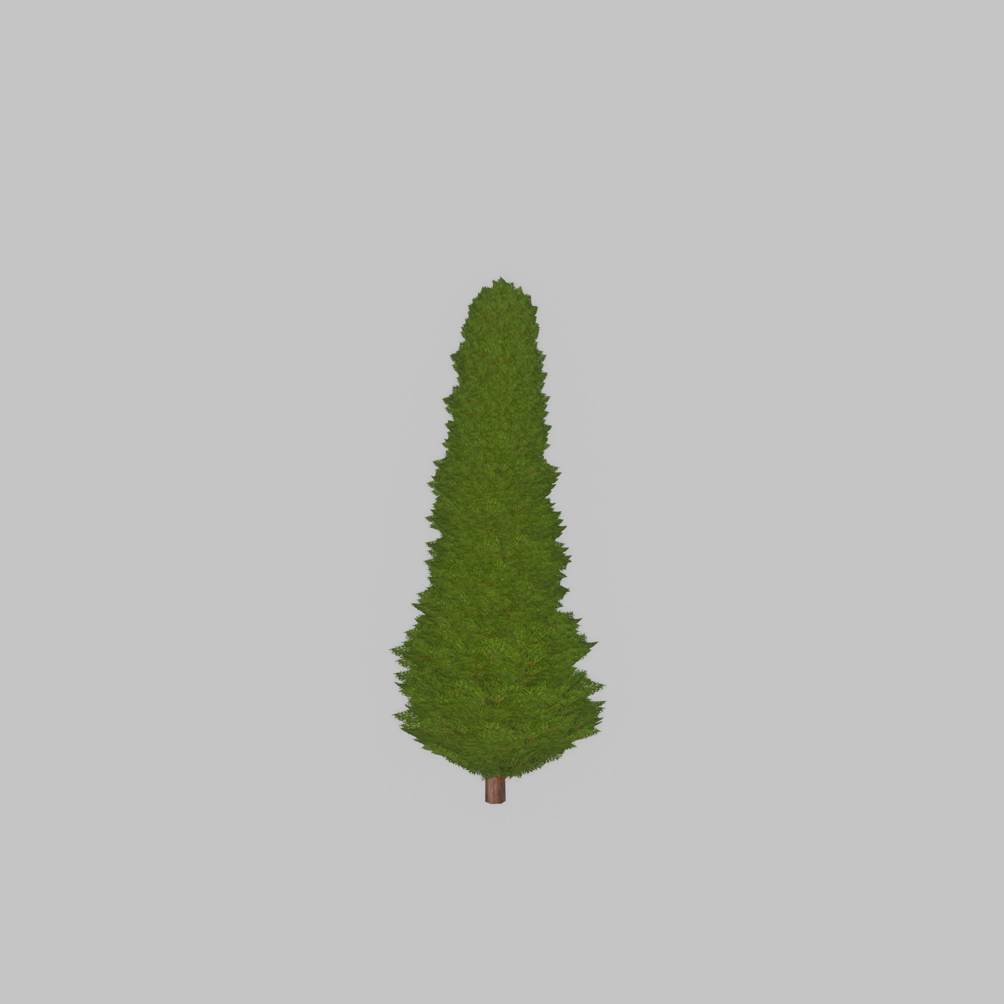 Mock cypress version-3 500mm Low-poly 3D model_41