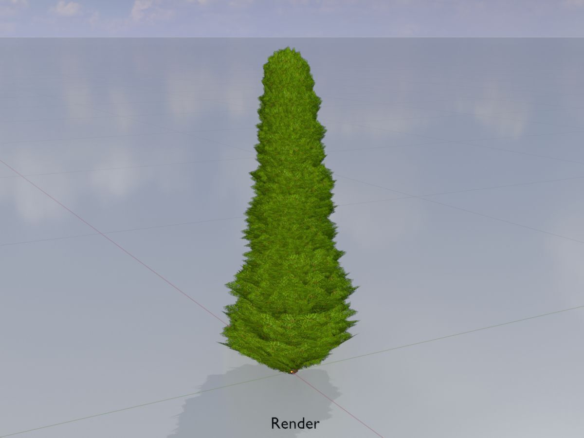 Mock cypress version-3 500mm Low-poly 3D model_14