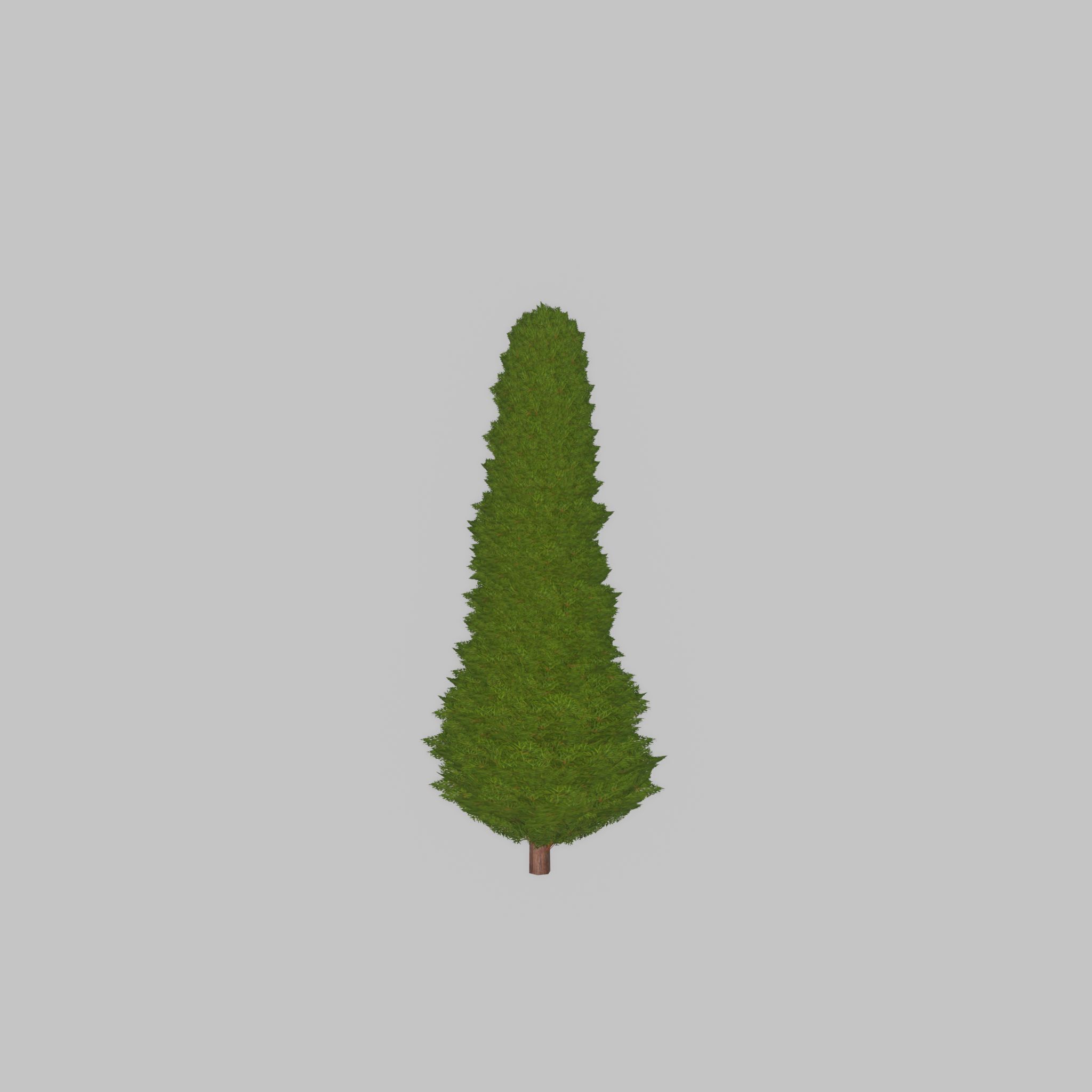 Mock cypress version-3 500mm Low-poly 3D model_40