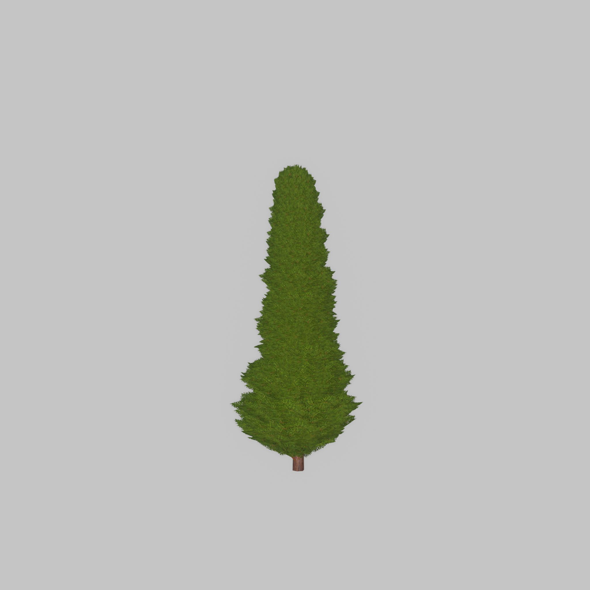 Mock cypress version-3 500mm Low-poly 3D model_28