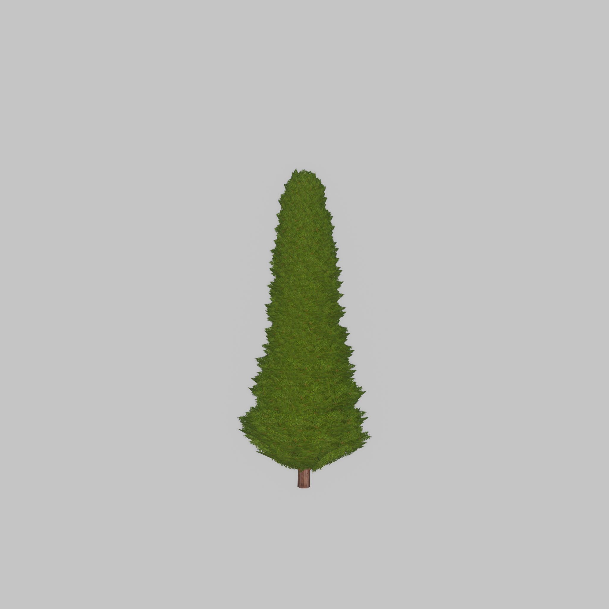 Mock cypress version-3 500mm Low-poly 3D model_21