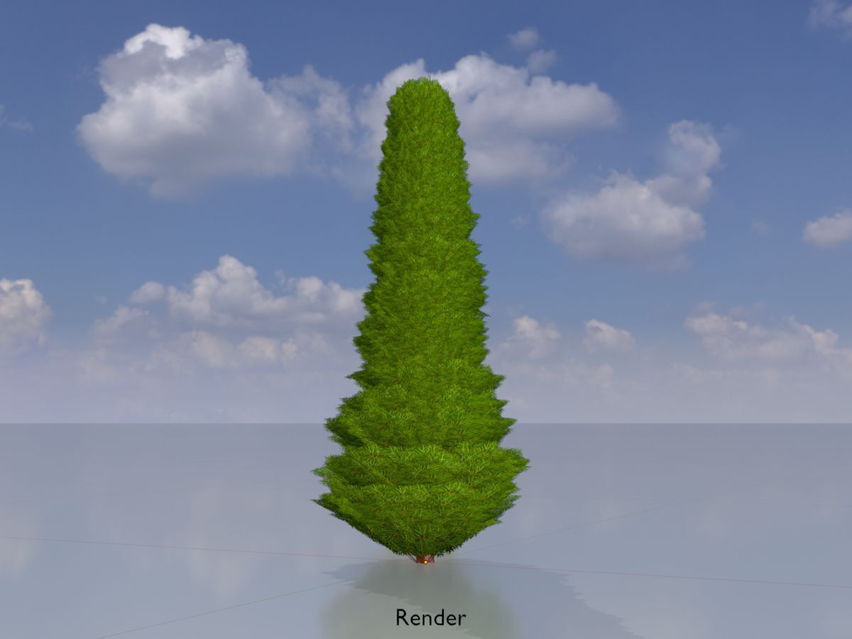 Mock cypress version-3 500mm Low-poly 3D model_13