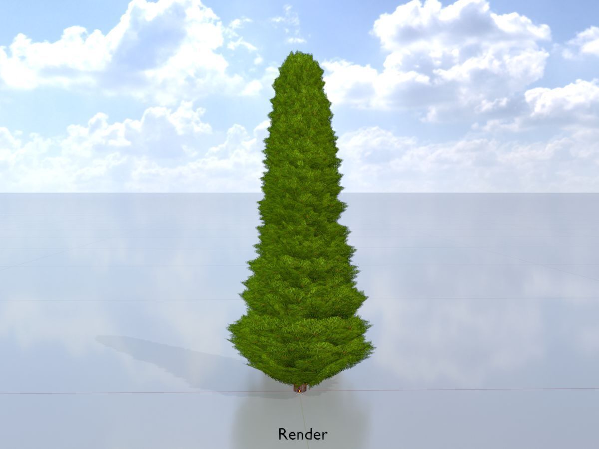 Mock cypress version-3 500mm Low-poly 3D model_15