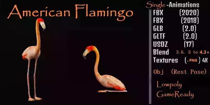 American Flamingo Bird Low-poly 3D model