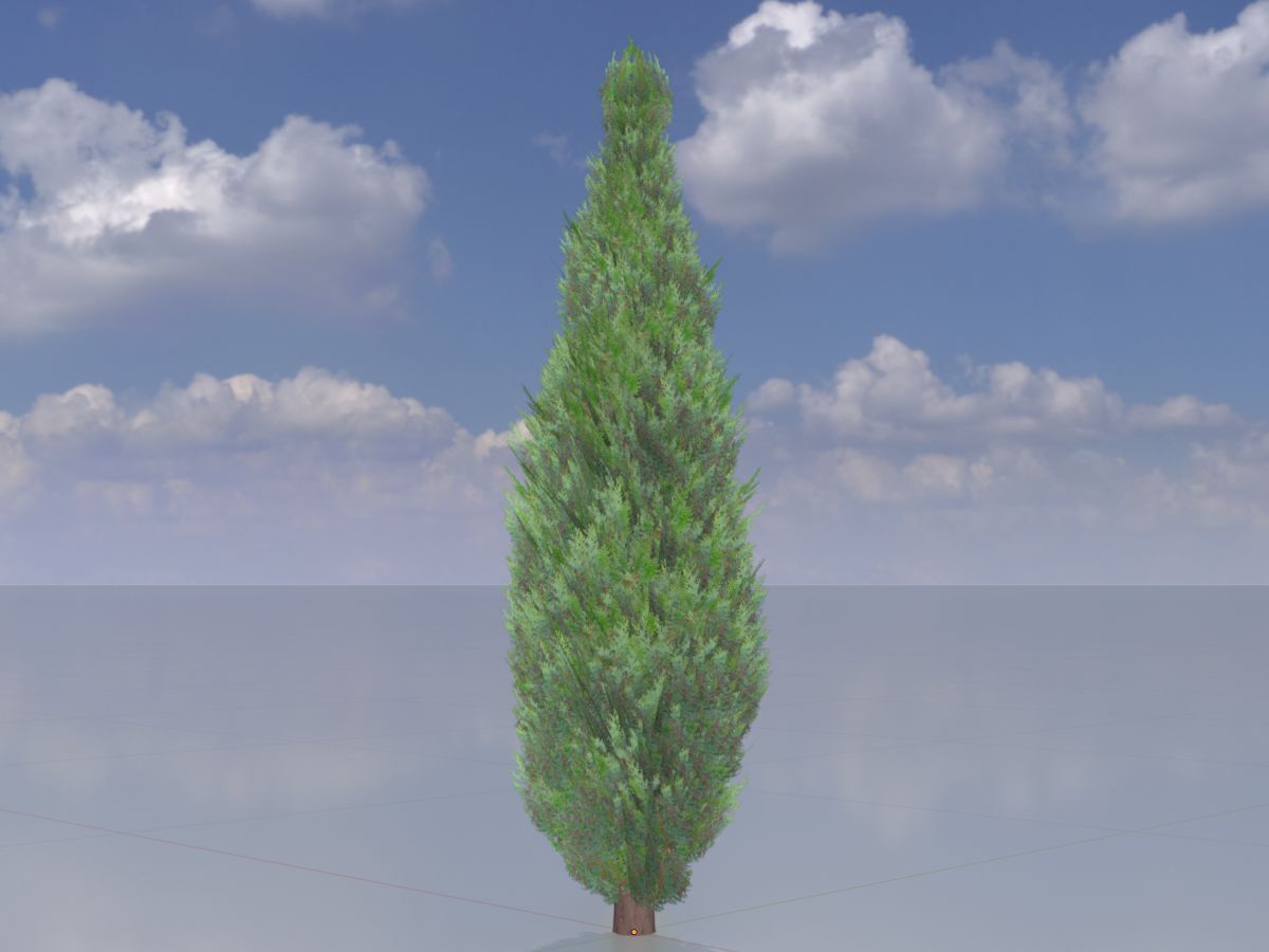 Scheinzypresse Version-1 1000mm Low-poly 3D model_2