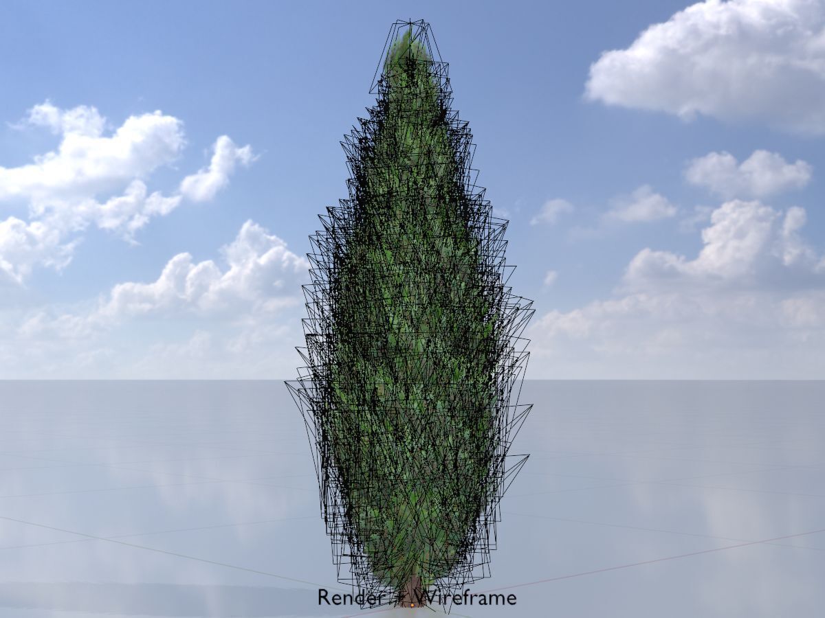 Scheinzypresse Version-1 1000mm Low-poly 3D model_6