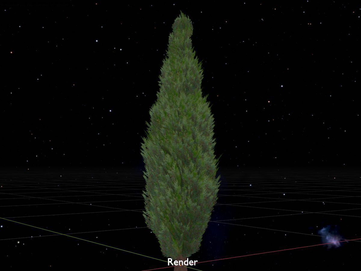 Scheinzypresse Version-1 1000mm Low-poly 3D model_20