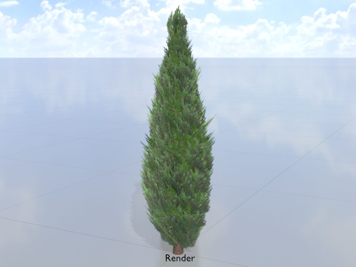 Scheinzypresse Version-1 1000mm Low-poly 3D model_15